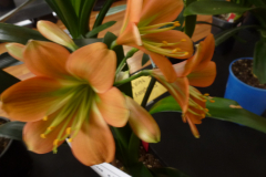P1100573