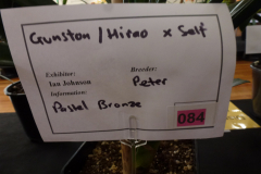 P1100574