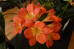 P1100577