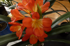 P1100578