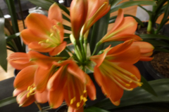 P1100580