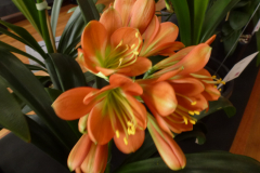 P1100581