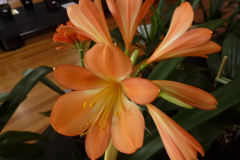 P1100584