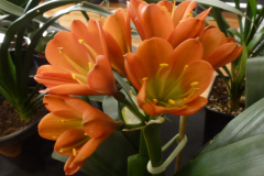 P1100587
