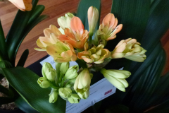P1100596