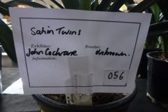 P1110175