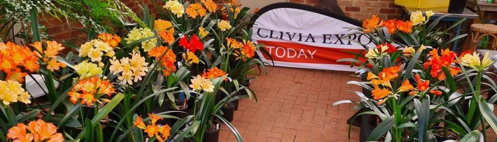 Melbourne Clivia Group Inc.