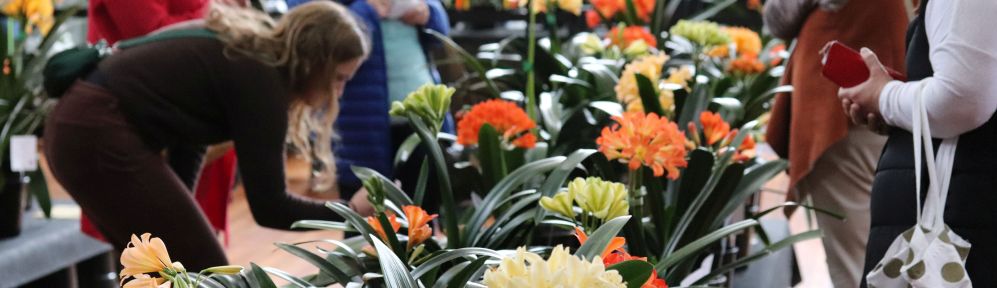 Melbourne Clivia Group Inc.